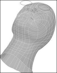 MYAY NURBS人头高级建模教程 脚本之家 MAYA建模教程