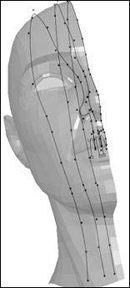MYAY NURBS人头高级建模教程 脚本之家 MAYA建模教程