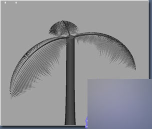 MAYA建模实例：棕榈树的建模 脚本之家 MAYA建模教程