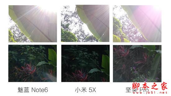 千元双摄手机拍照横评：魅蓝Note6对战小米坚果