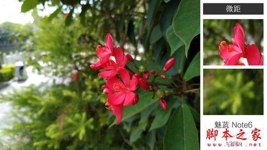 千元双摄手机拍照横评：魅蓝Note6对战小米坚果