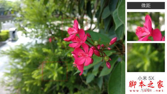 千元双摄手机拍照横评：魅蓝Note6对战小米坚果