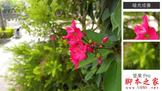 千元双摄手机拍照横评：魅蓝Note6对战小米坚果