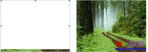 Word2007图片显示不全解决方法 三联