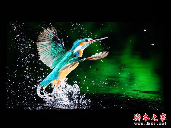 不在为网速网络担忧 父亲节送父亲一部4G全网通手机