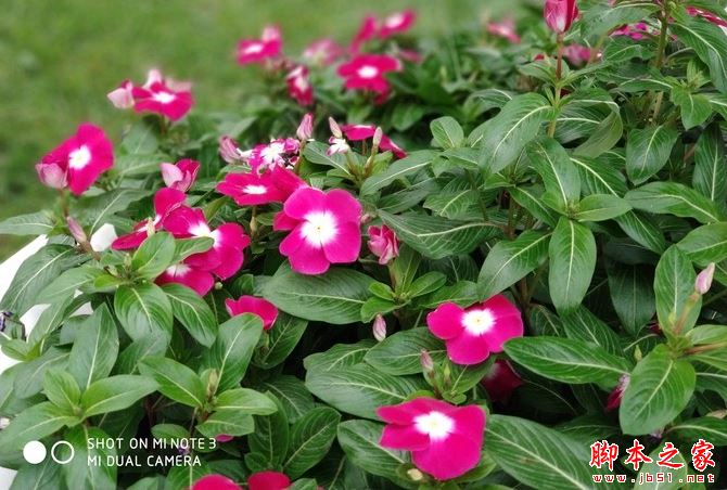 小米Note3究竟值得买吗？小米Note3外观拍照性能全面深度评测