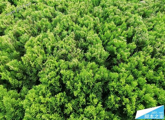 HUAWEI 麦芒6首发评测：华为第一款全面屏+4镜头手机