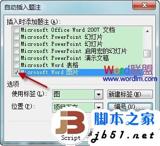 自动插入题注对话框