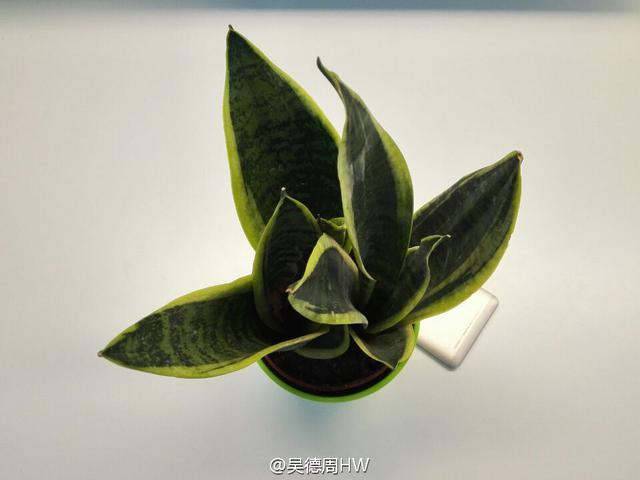 华为荣耀7凭借极致创新傲视群雄