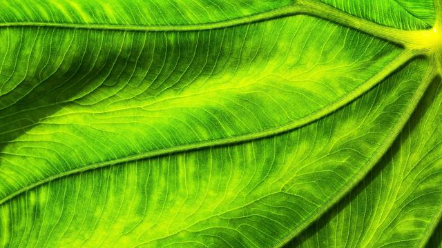 18种魅族手机摄影构图，马上成为摄影大师！