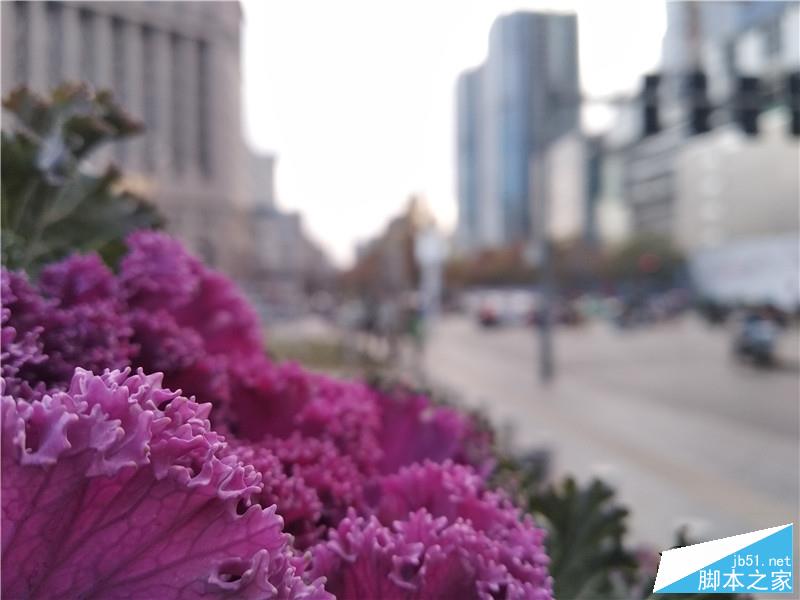 全面屏！红米5首发评测：史上性价比最高的小米手机