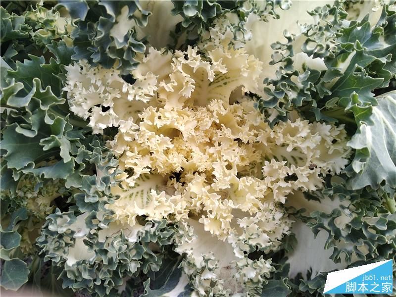 全面屏！红米5首发评测：史上性价比最高的小米手机