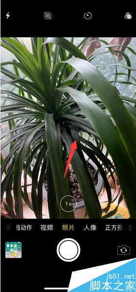 iphone xs max怎么用音量键拍照？iphone xs max音量键拍照教程