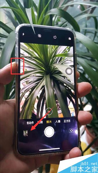 iphone xs max怎么用音量键拍照？iphone xs max音量键拍照教程