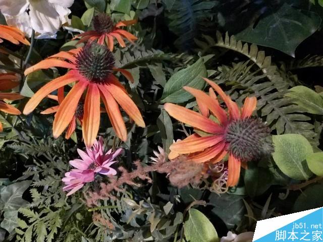 魅蓝E3评测：6GB满配千元机长啥样（不发布）   