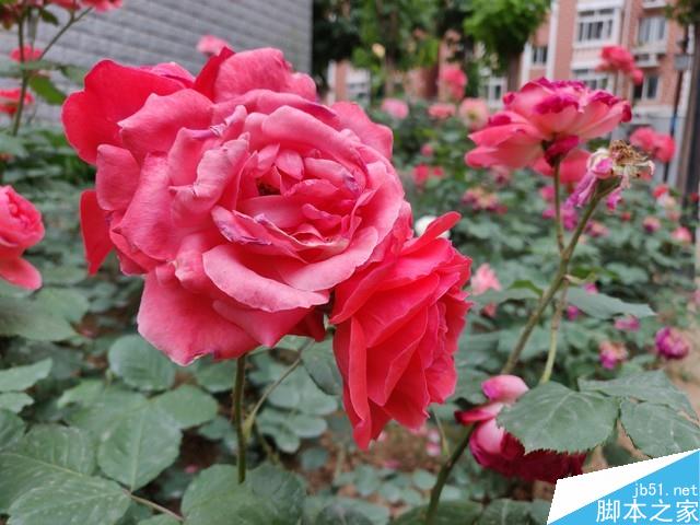 一加6深度评测 满身肌肉的&ldquo;西装暴徒&rdquo; 