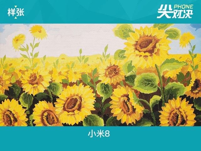 荣耀Play和小米8哪个值得买？小米8和荣耀Play外观性能拍照全方位评测