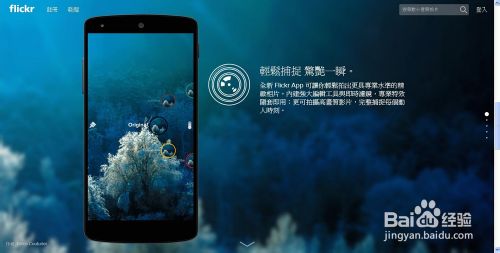 Flickr打不开_图片显示不了_国内上不去怎么办