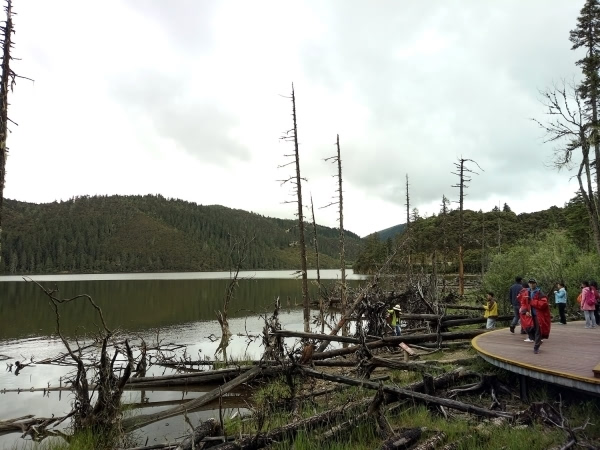 OPPO R7 Plus拍照怎么样? R7 Plus拍照样张赏析