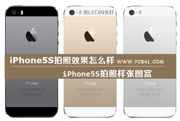 iPhone5S拍照效果怎么样 iPhone5S拍照样张图赏