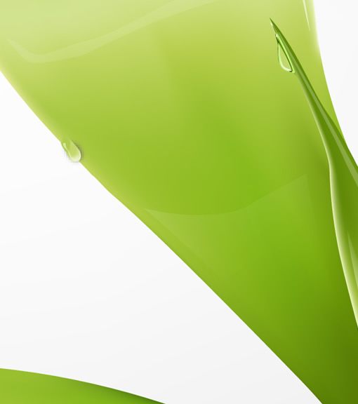 Illustrator教程:绘制绿色的叶子_脚本之家jb51.net