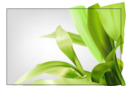 Illustrator教程:绘制绿色的叶子_脚本之家jb51.net