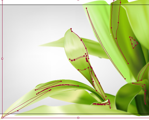 Illustrator教程:绘制绿色的叶子_脚本之家jb51.net