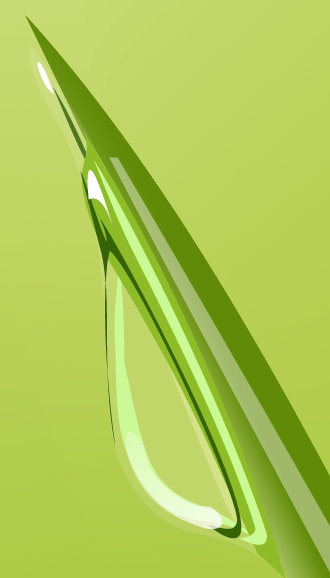 Illustrator教程:绘制绿色的叶子_脚本之家jb51.net