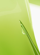 Illustrator教程:绘制绿色的叶子_脚本之家jb51.net