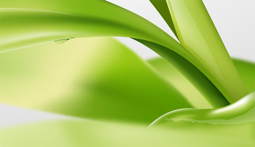 Illustrator教程:绘制绿色的叶子_脚本之家jb51.net