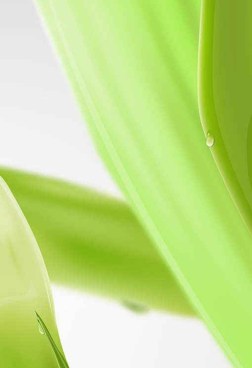 Illustrator教程:绘制绿色的叶子_脚本之家jb51.net