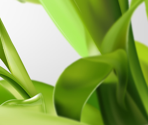 Illustrator教程:绘制绿色的叶子_脚本之家jb51.net