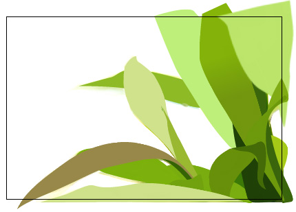 Illustrator教程:绘制绿色的叶子_脚本之家jb51.net