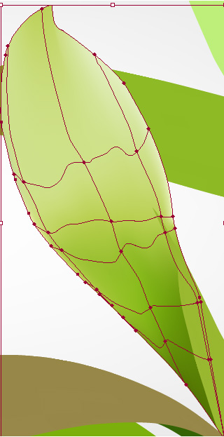 Illustrator教程:绘制绿色的叶子_脚本之家jb51.net