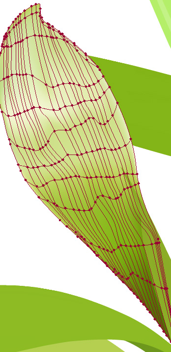 Illustrator教程:绘制绿色的叶子_脚本之家jb51.net