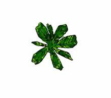 总平填色详细介绍 脚本之家 AUTOCAD教程