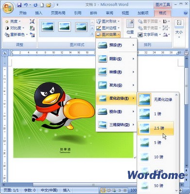 Word 2007技巧：设置图片柔化边缘效果 三联