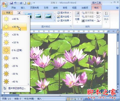 Word 2007技巧：设置图片亮度 三联