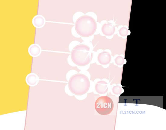 Illustrator教程：高贵美丽大方佳人_jb51com