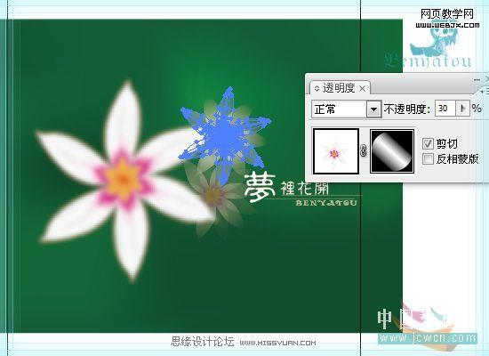 Illustrator教程:绘制梦幻的白色花朵_脚本之家