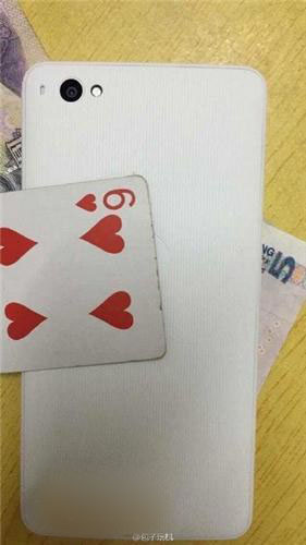 小锤子手机多少钱? 小锤子价格/售价介绍