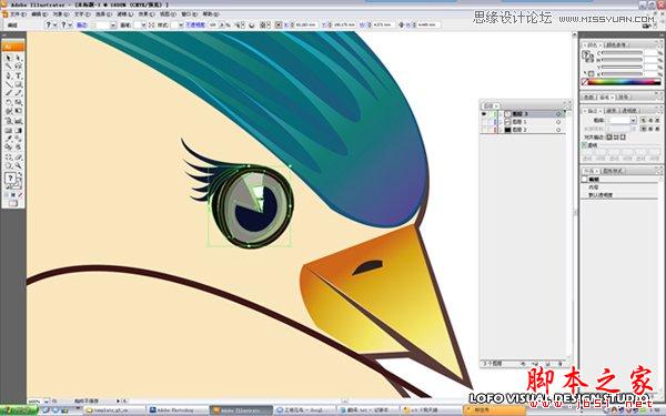 Illustrator绘制矢量风格的中国花鸟画,脚本之家