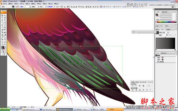 Illustrator绘制矢量风格的中国花鸟画,脚本之家