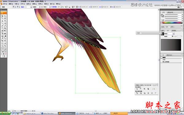 Illustrator绘制矢量风格的中国花鸟画,脚本之家