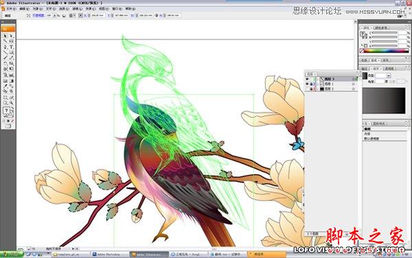 Illustrator绘制矢量风格的中国花鸟画,脚本之家