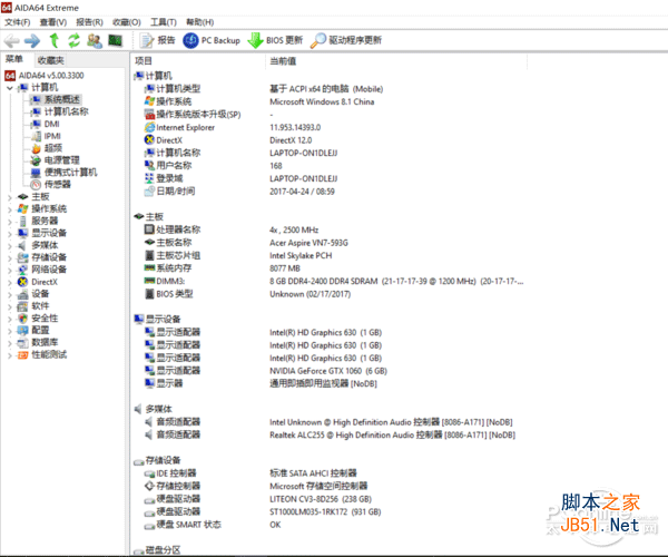 acer acer