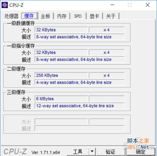 acer acer