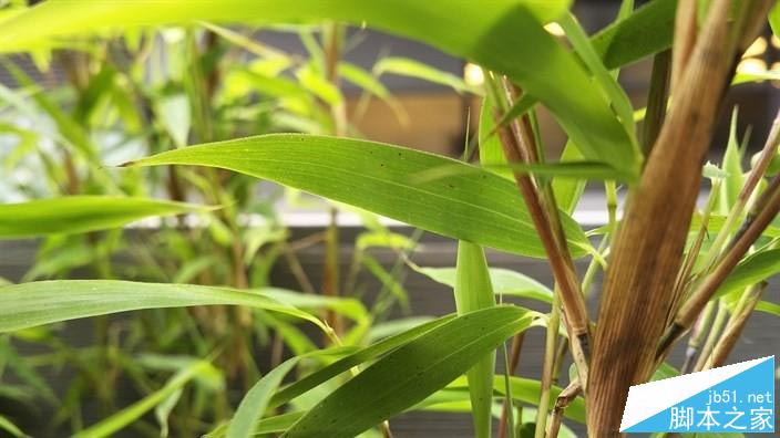 黑莓首款安卓机抢先评测：售价4K的全键盘