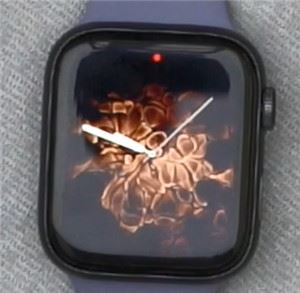 Apple Watch Series 5如何更换表盘风格?