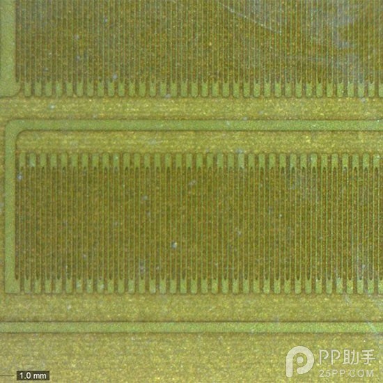 1427077278987597.jpg
